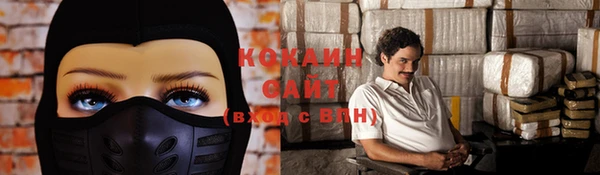 крисы Алзамай