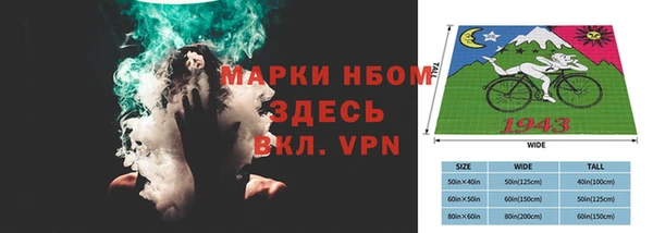 крисы Алзамай