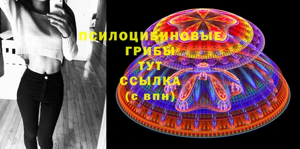 крисы Алзамай
