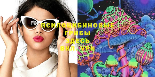 прущий лед Алексин