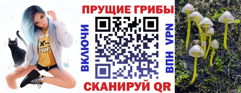 OMG ТОР  Байкальск  Галлюциногенные грибы Psilocybine cubensis 